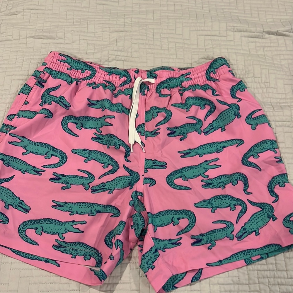 Men’s chubbies swim large